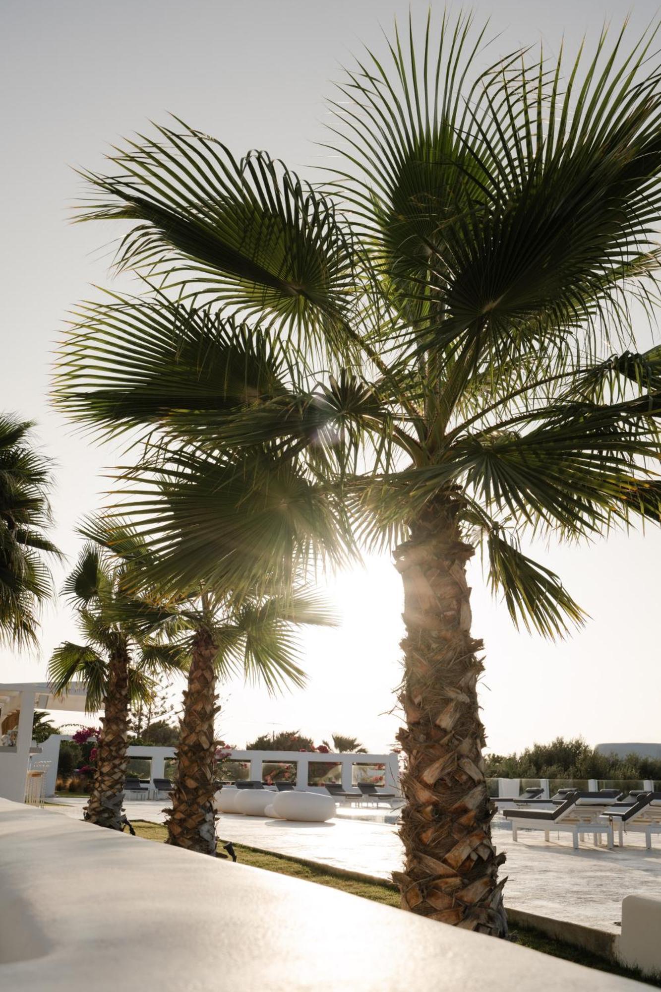 White Dunes Luxury Boutique Hotel سانتا ماريا المظهر الخارجي الصورة